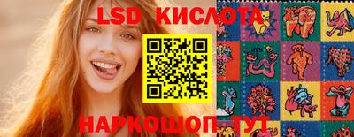 ешки Новодвинск
