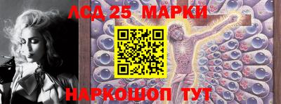 ешки Новодвинск
