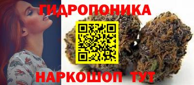 ешки Новодвинск