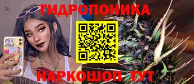 ешки Новодвинск