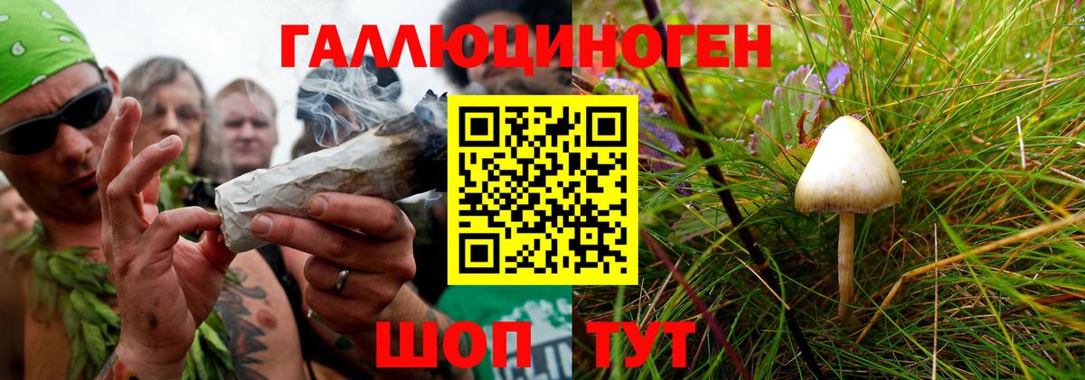 Сокол  купить  сайты  Вход с VPN  Псилоцибиновые грибы мухоморы 